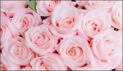 Cette couleur est...