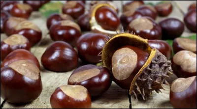 Cette couleur en espagnol est...