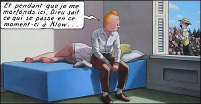 Tintin aurait-il souvent la tête ailleurs ? En tout cas, dans cet album, c'est ce qu'il dit ! Mais lequel ?