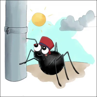 Quest-ce qui fait tomber laraignée Gipsy ?