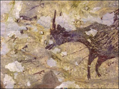 Quel animal était le plus chassé par les hommes du Paléolithique ?