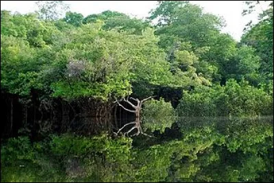 L'Amazonie atteint-elle l'Amérique centrale ?
