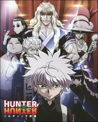 Dans ''Hunter × Hunter'', tu préfères :
