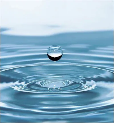 Vrai ou faux : il y a de l'eau sur la photo.