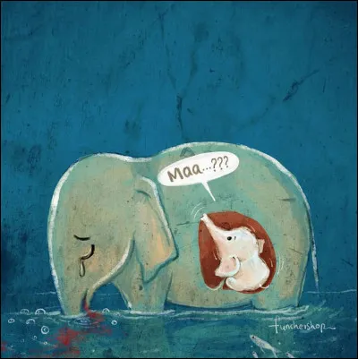 Gestation : quelle est la dur&eacute;e de gestation pour la femelle &eacute;l&eacute;phant d'Afrique ?