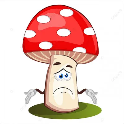 Hallucination : parmi ces trois champignons, lequel vous conduira directement chez Saint-Pierre, sans m&ecirc;me vous donner le plaisir de la moindre hallucination ?