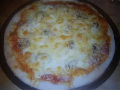 Le repas de ce soir a brûlé dans le four, par conséquent je vais commander des pizzas.