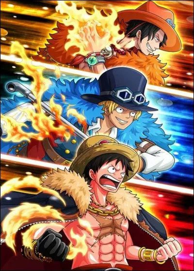 Que veut l'équipage de Luffy ?