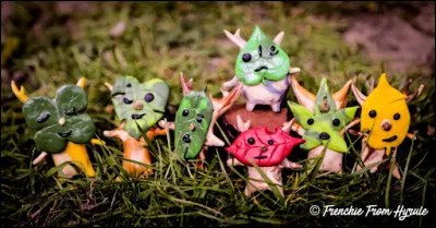 Combien y a-t-il de Korogus ?