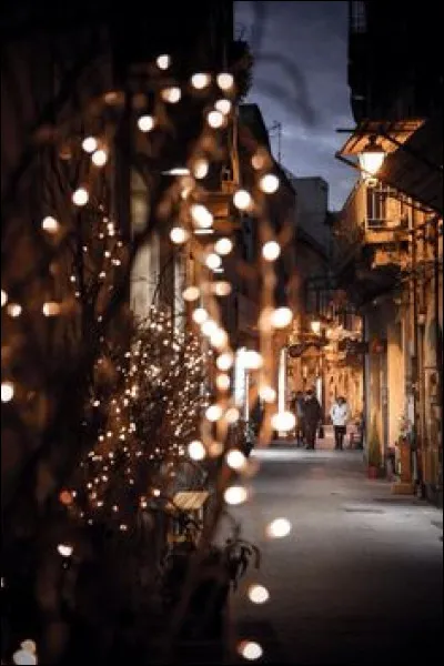 Dans laquelle de ces villes des caricatures du journal utilisé par Samuel pour son cours ont-elles été affichées ?