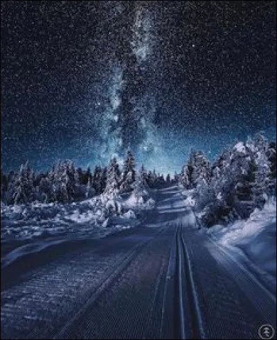 Quel personnage des bandes dessinées déteste le lundi ?