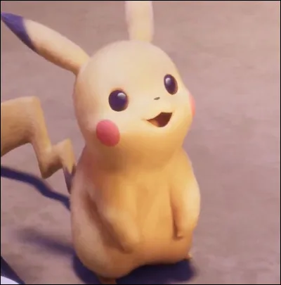 Est-ce que ta couleur apparaît sur cette photo ?