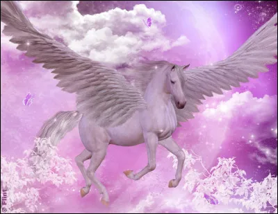 Est-ce que ta couleur apparaît sur cette photo ?