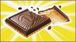 La biscuiterie Delacre a sorti galement sa gourmandise, qui allie le croquant de son biscuit avec le dlicieux got de chocolat :