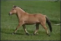 De quel pays d'Europe est-il l'emblme national ?