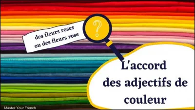 Langue française : Choisissez le bon accord de l'adjectif de couleur : "Autrefois, on portait à l'école des blouses ...