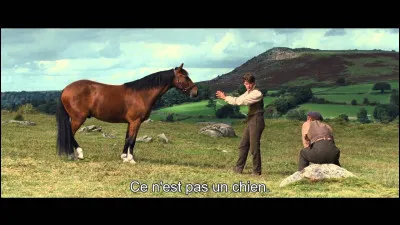 "Cheval de guerre" est un film réalisé par Steven Spielberg.