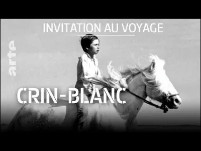 "Crin-Blanc" est un film adapté d'un roman de Romain Gary.
