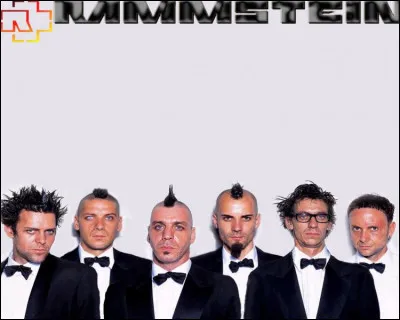 Complétez : 
"Ich will, ich will eure Blicke..."