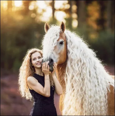 Celui de la lign&eacute;e ST ?