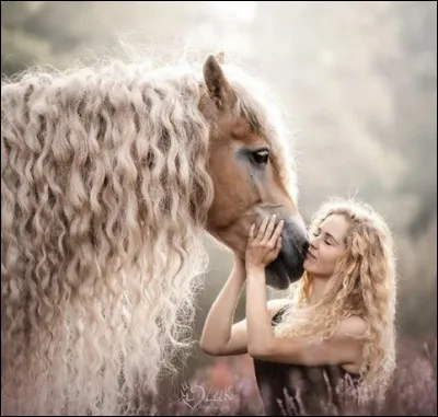 Quel est l'&eacute;talon fondateur de la lign&eacute;e M ?