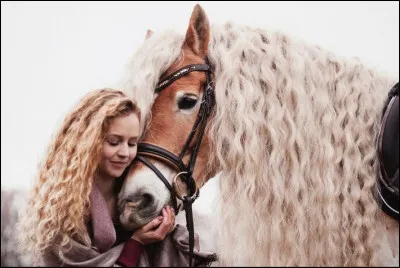 Quel est l'&eacute;talon fondateur de la lign&eacute;e N ?
