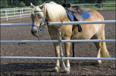 Et enfin celui de la lign&eacute;e A ?