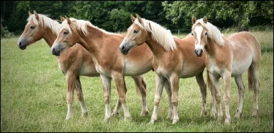 Depuis 2000, il y a environ…et… naissances par an.