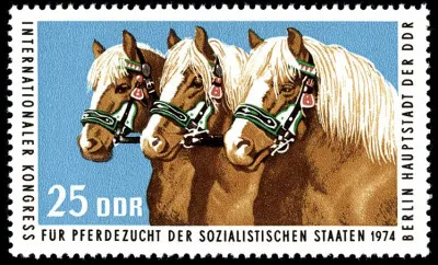 En 2005, la population totale des haflingers est estim&eacute;e &agrave;…