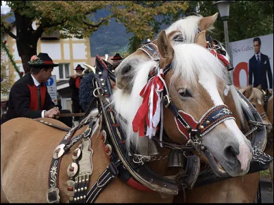 Quel est son pays d�origine ?