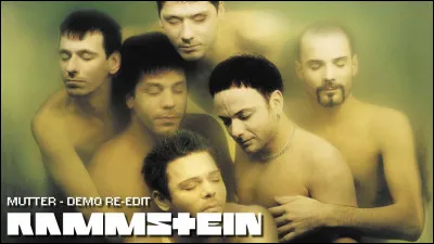 Complétez : 
"Auch wenn ich daran sterben..."