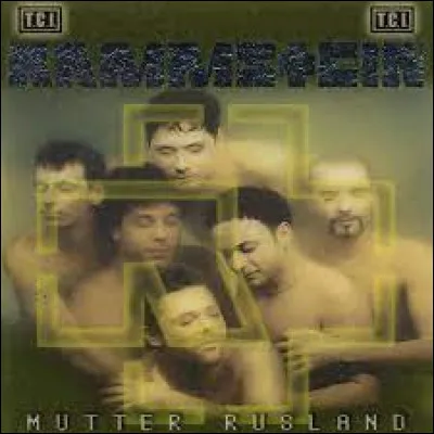 Complétez : 
"In meiner Kehle steckt ein..."