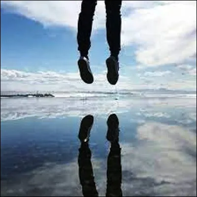 Comment appelle-t-on une image inversée apparaissant sur une surface ?