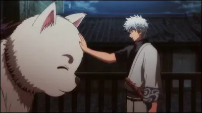 Laquelle de ces races de chiens est la plus grande ?