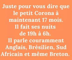 Quiz Vocabulaire
