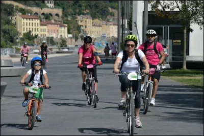 Quelle fleur est l'emblème de Chypre ?