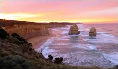 Sa voix particulière n'a laissé personne indifférent en 2019.