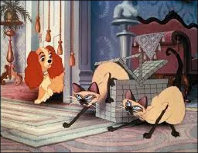 Dans le film d'animation ''La Belle et le Clochard'' de Disney, comment s'appellent les deux chats siamois de la tante Sarah ?