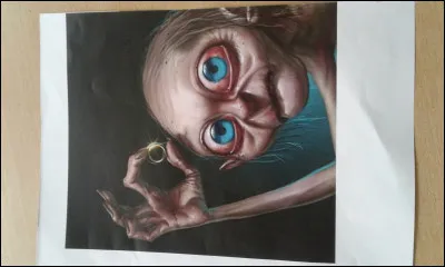 Complétez : Le ... burger.