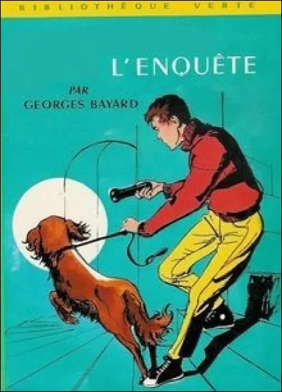 James serait plutôt un petit diable. Il n'est sage que quand il lit, heureusement il adore les romans policiers. Si ce n'est pas Jules Maigret, qui peut bien mener l'enquête, dans ce livre ?