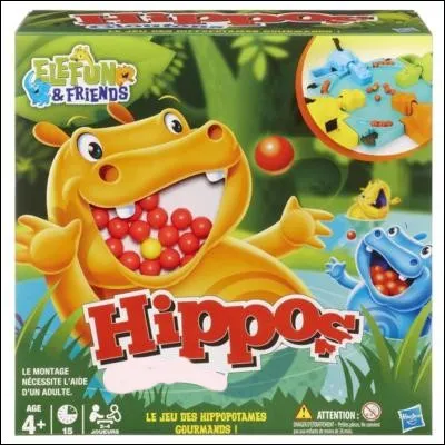 Cet enfant aime tellement ce jeu, qu'il lui a été attribué comme surnom ! Comment sont ces "Hippos" ?