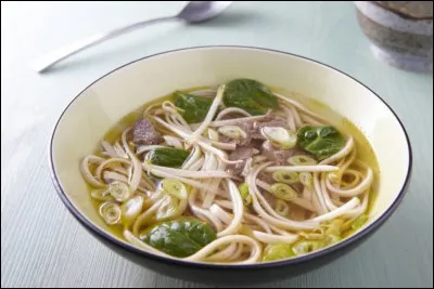 Sous quel nom connaît-on mieux la soupe tonkinois, recette traditionnelle de cuisine vietnamienne ?