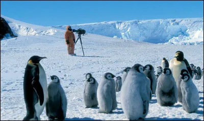 Qui est le réalisateur du long-métrage "La Marche de l'Empereur" ?