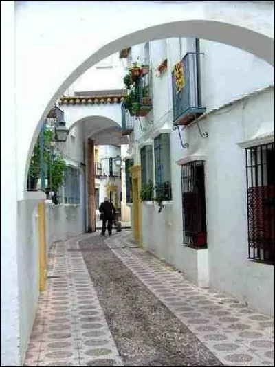 Le quartier de la Judería, fait de ruelles et de maisons blanches, correspond au quartier juif de la ville médiévale. Il se trouve à ...