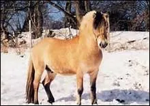 Comment obtenir une bonne assiette ?