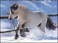 Et quelle est sa place pour le nombre de femmes licencies ?