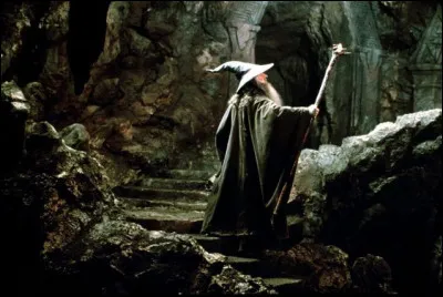 Quel est ce film américain de fantasy de 2001qui se déroule dans le monde fictif de la Terre du Milieu où se déchire la Communauté de l'Anneau ?