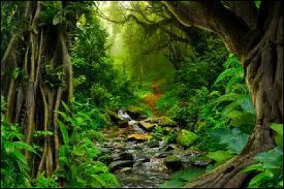 Si tu as répondu ''autre'', c'est :