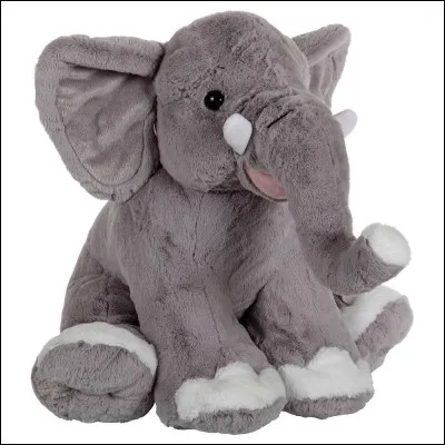 Leur nom se termine par "ay" !