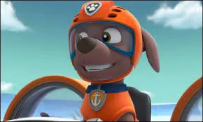 Quelle est la race de Zuma ?